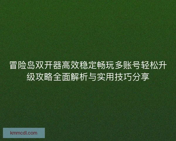 冒险岛双开器高效稳定畅玩多账号轻松升级攻略全面解析与实用技巧分享