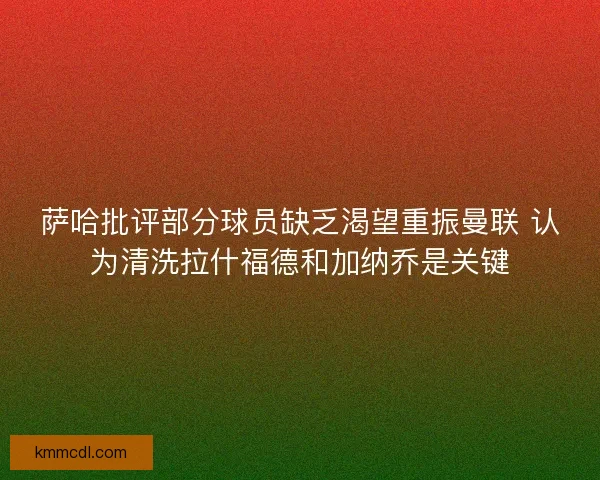 萨哈批评部分球员缺乏渴望重振曼联 认为清洗拉什福德和加纳乔是关键